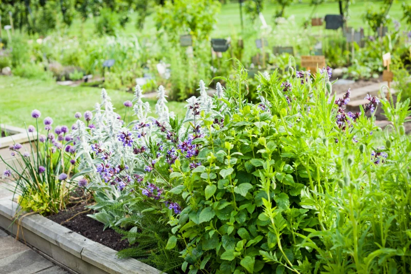 Spring garden